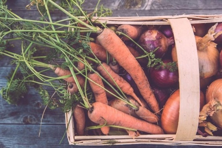 a close up of carrots and onions