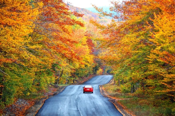 a car drives down a road surrounded by trees in the fall