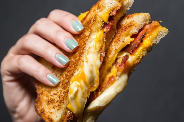 a hand holding a grilled cheese sandwich