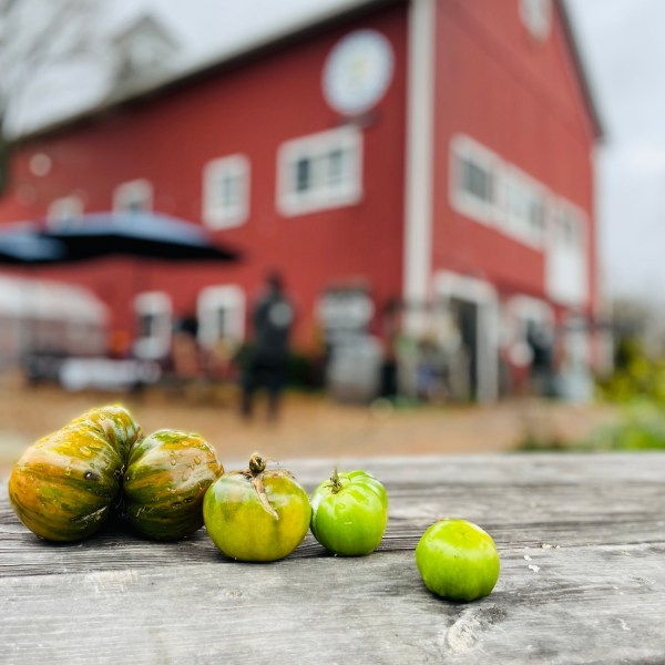 a close up of peppers near a barn