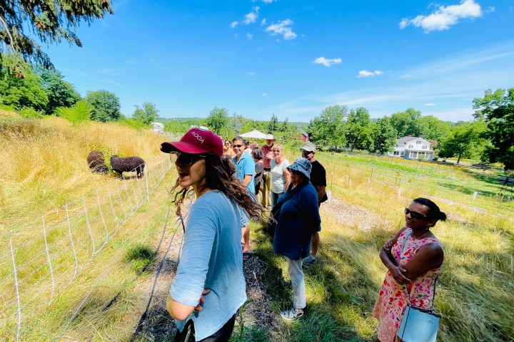 a group of people experiencing a farm tour