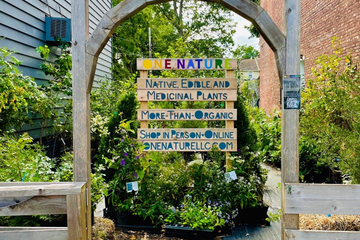 a sign for a plant shop
