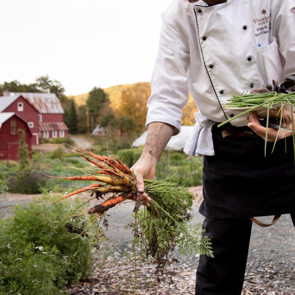 a man picking carrots in a field
