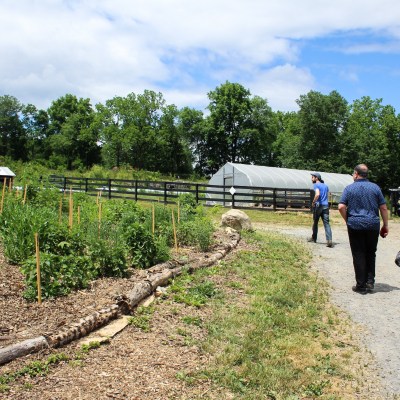 a group of people walking down a dirt road