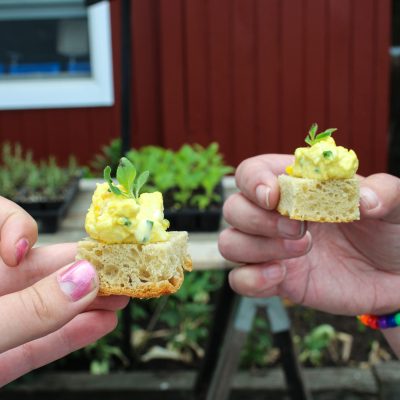 a hand holding a flower