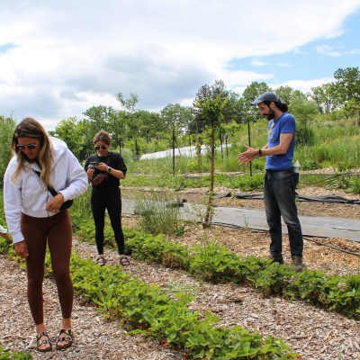 a group of people standing in a garden