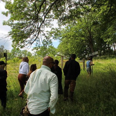 a group of people standing on top of a grass covered field