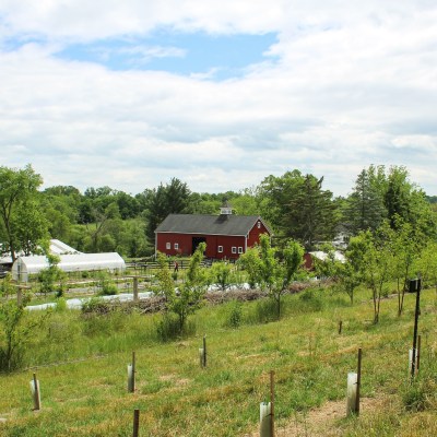 a group of people standing on a lush green field
