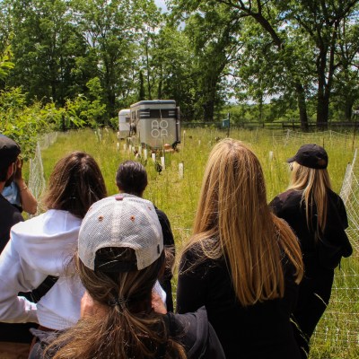 a group of people that are standing in the grass