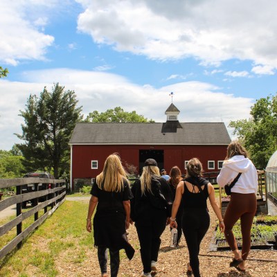 a group of people standing next to a fence